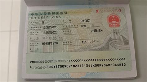 what are the requirements for business visa to china